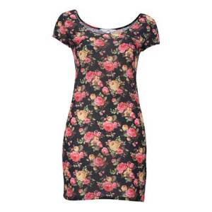 Rose Print Dress @ New Look £20.00